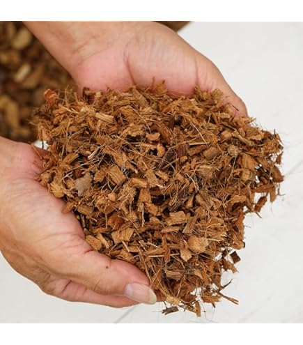 Amazon | はなみどり ハスクチップ サイズ：大 (6～16mm） ココナッツ